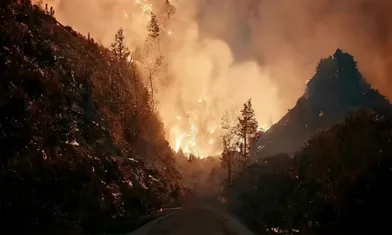 L'incendio è stato spento. Quali altre applicazioni possono avere le termocamere oltre al campo della sicurezza?